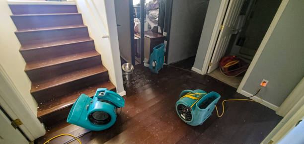 Best Water damage restoration cost  in Lakeland, NY
