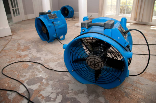 Best Flood damage cleanup  in Lakeland, NY