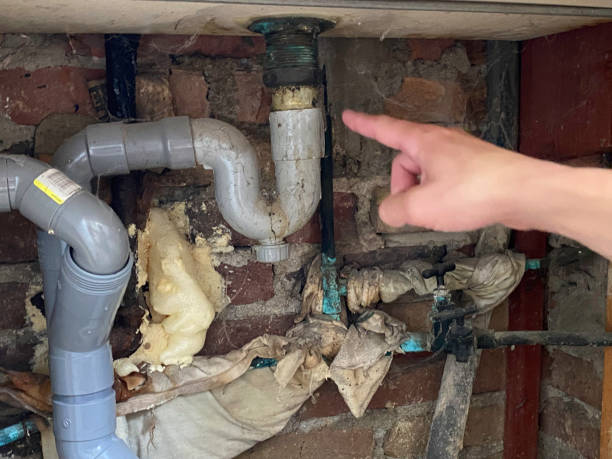 Best Mold removal after water damage  in Lakeland, NY