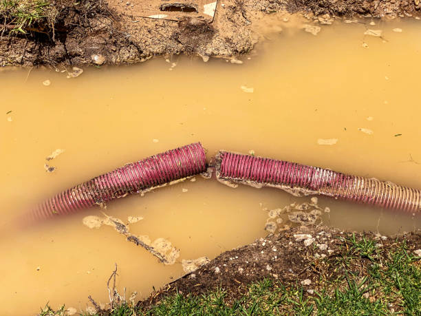 Water damage restoration experts in Lakeland, NY