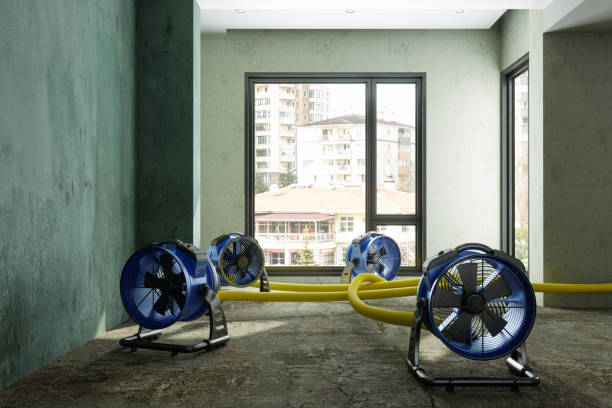 Best Local water damage restoration  in Lakeland, NY